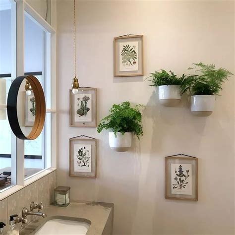 浴室植物佈置 鈐記